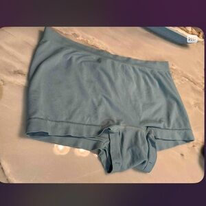 Joyspun Elegant Sky Blue Women's Panties XL